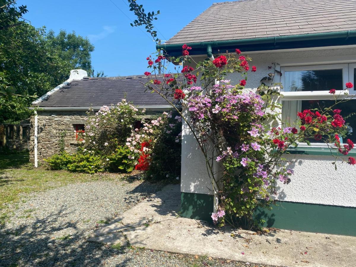 Hawthorn Cottage Гринкасл Экстерьер фото
